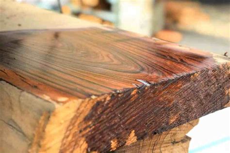 🌳 PAU FERRO Wood Guide: Indian Rosewood Alternative