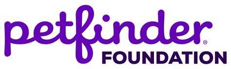 3rd-strike.com | Dog Shelter Sim ‘To The Rescue!’ Partners with The