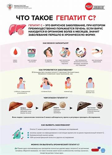Гепатит симптомы диета Гепатит С: важно знать! — ГБУЗ Московской области "Долгопрудненская Гепатит С: важно знать! — ГБУЗ Московской области "Долгопрудненская Гепатит симптомы диета