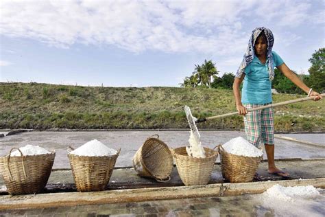 Keeping Salt Farms Alive Inquirer News