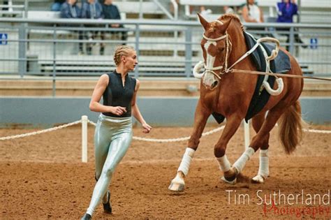 Vaulting Safety Equestrian Vaulting Usa