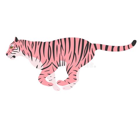 Vector Flat Hand Drawn Pink Tiger Stock Vector Illustration Of