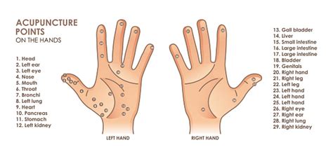 Acupuncture Points On The Hands With Description Of The Corresponding