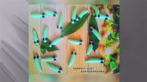 Jun 23, 2021 · bentuk dan komposisinya mirip seperti bakwan sayur, bahkan bahan dasarnya juga menggunakan tepung terigu. Resep Membuat Kue kering Ulat (caterpillar cookies) - YouTube