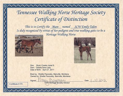 Slush Creek Walkers Tennessee Walking Horse Scw Emily Talon 21100206