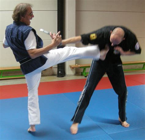Albums 103 Pictures How To Do A Karate Kick Updated