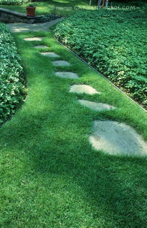 Lawn With Path Walkway Stepping Stones Plant And Flower Stock