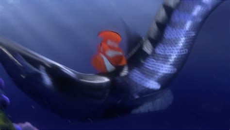 Finding nemo barracuda effects chorded g major подробнее. Viewpoint in Finding Nemo — David DeLiema