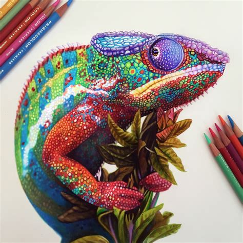 Chameleon Sketch On Behance