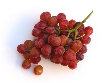 Free Red Grape Photo Grape Picture Fresh Grapes Image Royalty Free