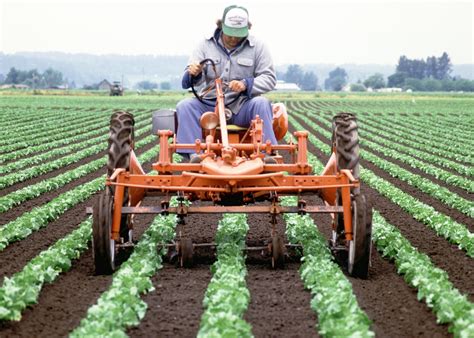 Before starting dairy farm in in india need to consider several words. Natural Weed Control | EcoFarming Daily