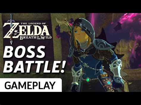 They have been there since the original game and will continue to be in every game going forward one would think. Zelda: Breath of the Wild - How to Beat Waterblight Ganon ...