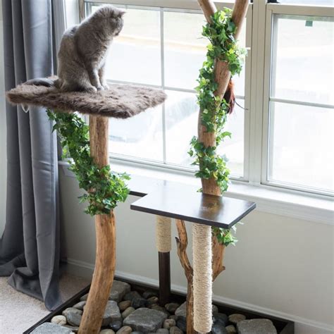 They have one but this is plans to make a cat tree. 8 DIY Cat Tree Plans You Can Get for Free