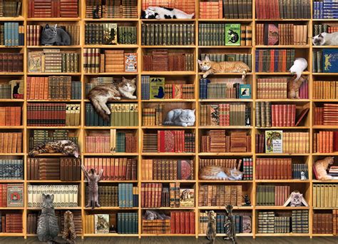 The Cat Library 1000 Pieces Cobble Hill Puzzle Warehouse