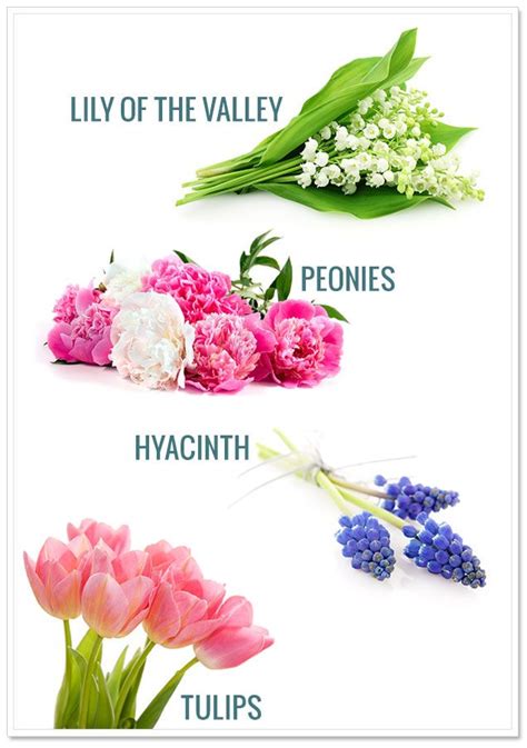 Check spelling or type a new query. What's In Season: Spring Wedding Flowers Part I | Spring ...