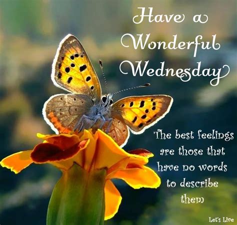 Wonderful Wednesday Wednesday Wednesday Quotes Wednesday Images