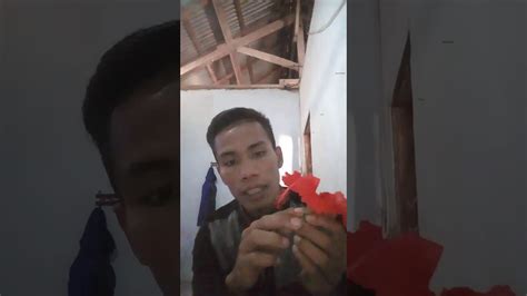 Bagian bagian bunga dan fungsinya - YouTube