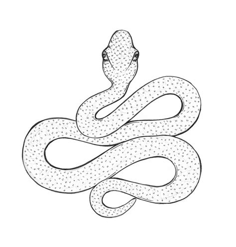 Snakes are legless reptiles with scaly tubular bodies tapering toward the tail, lidless eyes, and venomous fangs. Snake 3d Drawing at GetDrawings | Free download