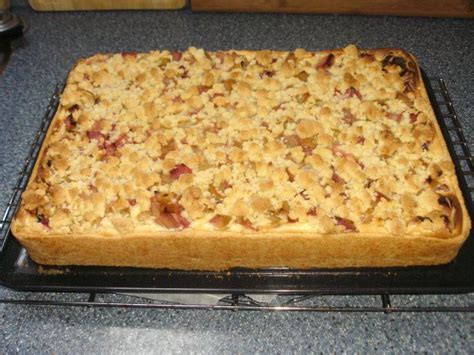 Rhabarber- Blechkuchen Rezept mit Bild Rezept