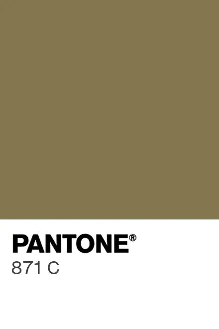 Pantone® Usa Pantone® 871 C Find A Pantone Color Quick Online