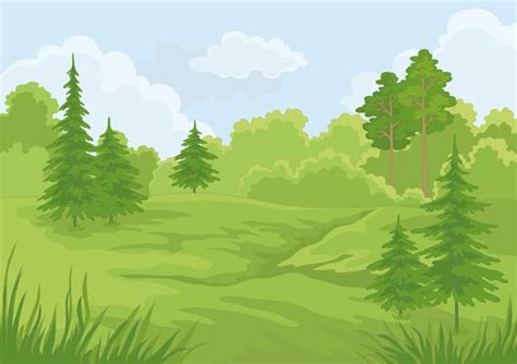 Forest Landscapes Vector Illustrations