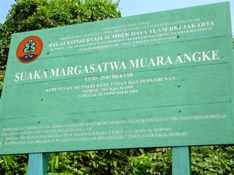 Perbedaan Kawasan Konservasi Di Indonesia Cagar Alam Suaka Margasatwa
