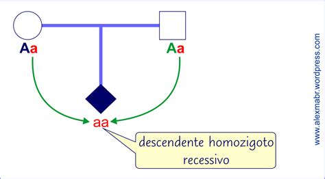 A Deficiencia De Lipase