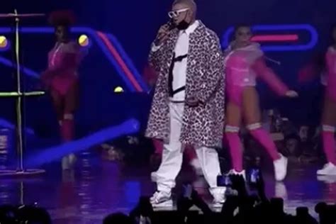 Pero, ¿quiénes se llevaron un gatito a casa? Estos son los ganadores del MTV MIAW 2019 - Espectáculos ...