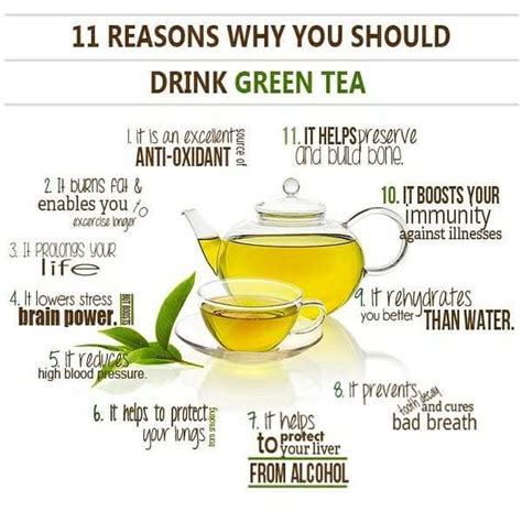 Berikut ini ada beberapa cara minum teh hijau agar cepat kurus, diantaranya : Teh Hijau Bagus Untuk Kurus Dan Sihat. - Blogbabyshambles.. ♥