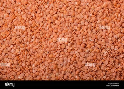 Lentil Persian Red Chopped As A Background Texture Stock Photo Alamy