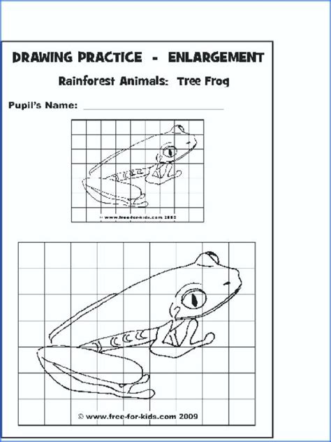 Grid Drawing Worksheets Pdf At PaintingValley Com Explore Collection