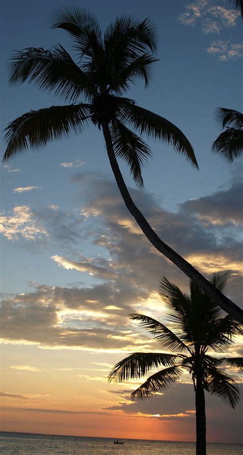 caribbean beach sunset - The iPhone Wallpapers