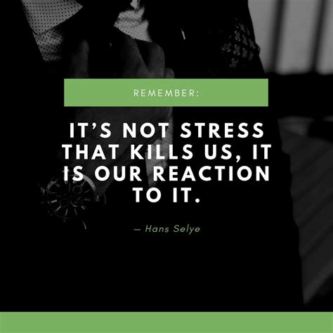 30 Quotes For When You Feel Stressed