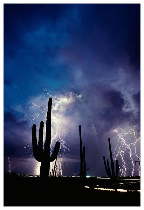 Saguaro Cactus And Lightning Photograph Monsoon Thunderstorm Desert