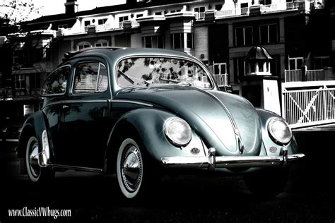 Classic Vw Bugs Chris Vallones Works Of Art For Your Volkswagen Beetle Wall Vintage Type 1