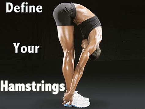 The leg has one very thick tendon that finishes halfway down the bone, and the thigh has a few smaller tendons. Define Your Thighs With These Combination Moves - Fit Tip Daily