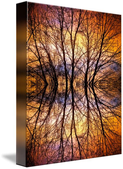 Sunset Tree Silhouette Abstract By James Tree Silhouette Abstract