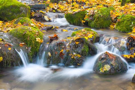 Beautiful Cascade Waterfall In Autumn Fo — Stock Photo © Hydromet 1616033