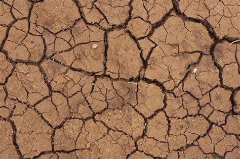Comment bêcher une terre argileuse?