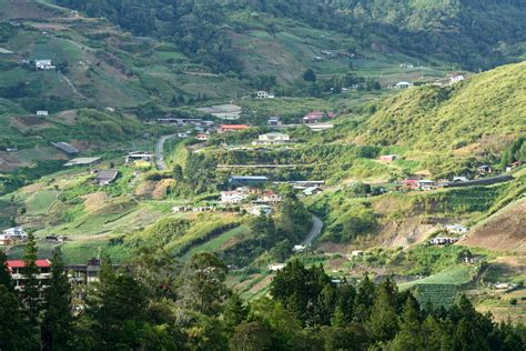 Above the highlands of kundasang is the desa dairy cattle farm. Everything About Wood: Desa Cattle Dairy Farm, Kundasang