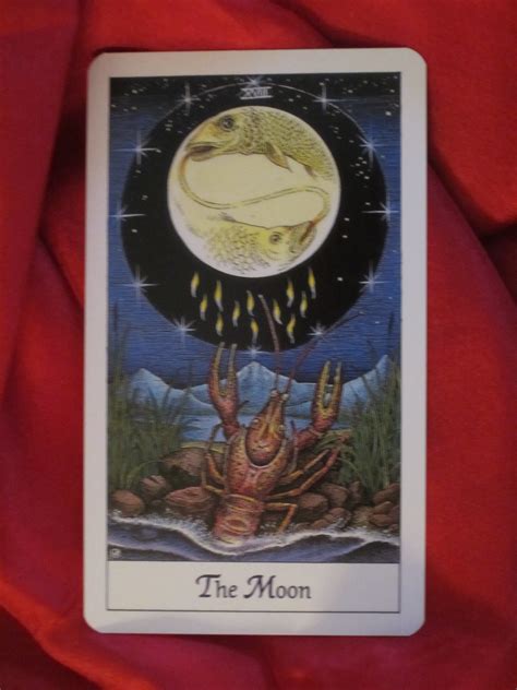 Act with your heart and your soul. The Moon ~ Tarot Card for Tuesday | Daily Tarot Girl