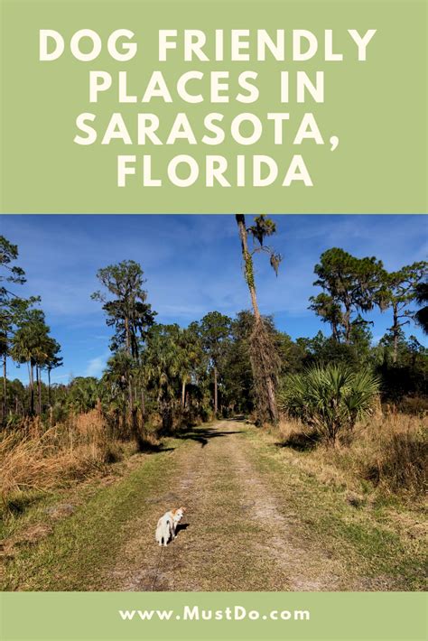 Dog Friendly Places In Sarasota Florida Must Do Visitor Guides