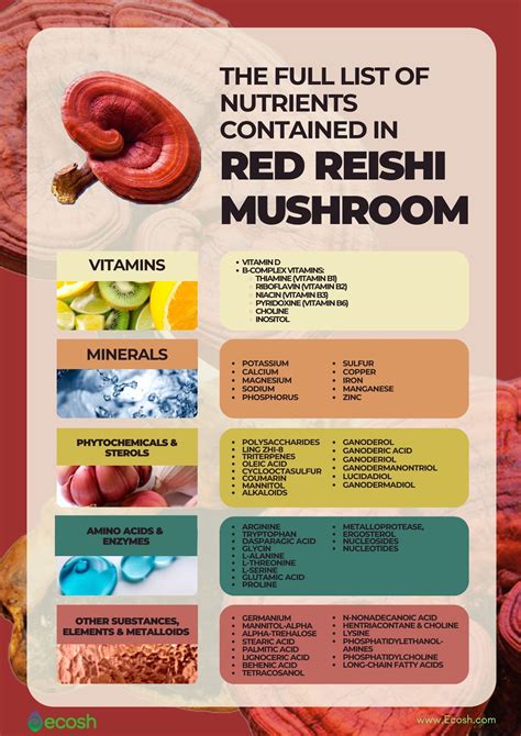Red Reishi Mushroom Ganoderma Lucidum Lingzhi 13 Surprising Health