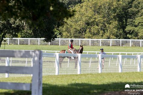 Opinion A Look At This Years Meet At Ky Downs Through The