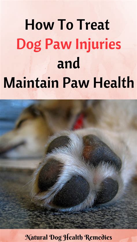 If you do not know how to do this, have them done professionally. Dog Paw Health | Dog paw remedies, Dog paw pads, Dog paw ...