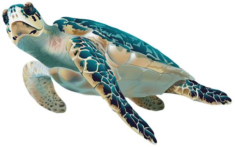 Sea turtle Cartoon - Turtle PNG image and Clipart | Turtle ...