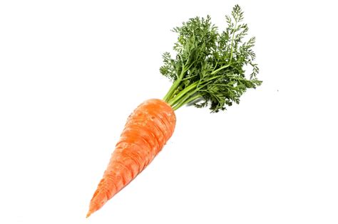 Carrot Transparent Free Png Pack Download