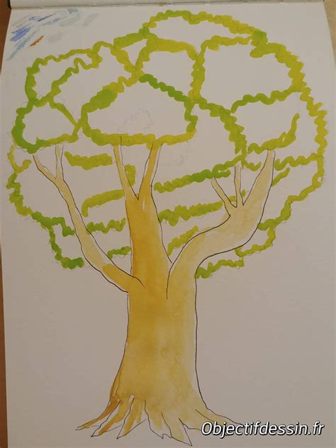 Comment Dessiner Un Arbre Objectif Dessin