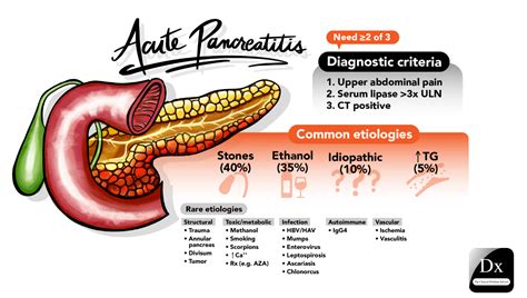 Acute Pancreatitis The Clinical Problem Solvers
