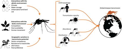 The complexity of interactions among mosquito vectors, arboviral